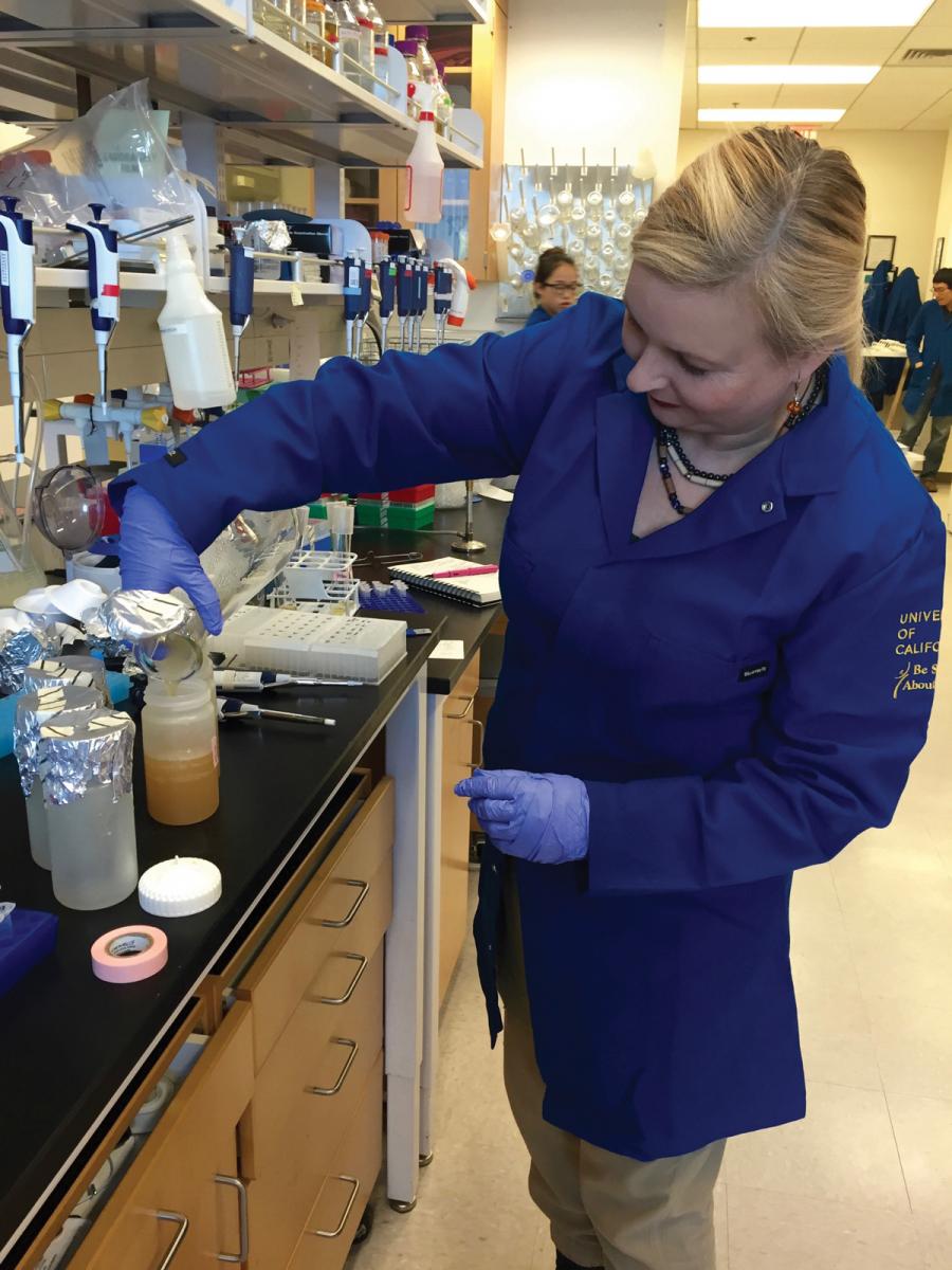 Anna Dumitriu working in the lab at the Center for Complex Biological Systems at UCI.