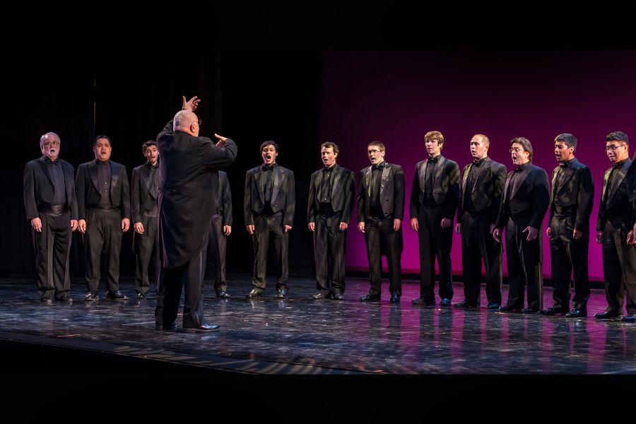 A conductor stands with their back to the camera, arm raised, leading a line of singers arranged across a stage. The ensemble wears coordinated dark attire and faces forward, standing evenly spaced. The stage floor reflects the lighting, with a dark background accented by subtle purple tones.