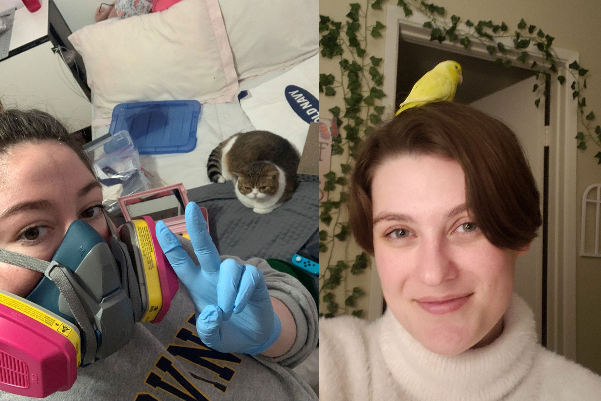 Brianna Eckhaus in full PPE gear with her cat Tigger, Denise Larsson with her bird Peep