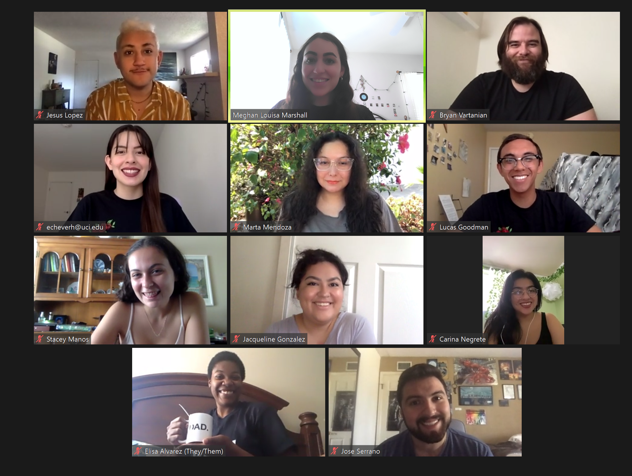 Screenshot of a virtual group meeting in a video-call grid layout, showing multiple participants smiling or talking from their homes, each framed in individual rectangles against varied indoor backgrounds.