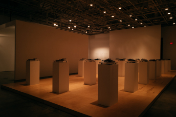 A dimly lit gallery room with warm overhead lighting. Multiple white pedestal stands are arranged in neat rows across the floor, each displaying a small dark object on top. The space has high ceilings with visible lighting fixtures, and the walls are plain, creating a minimalist exhibition setting.