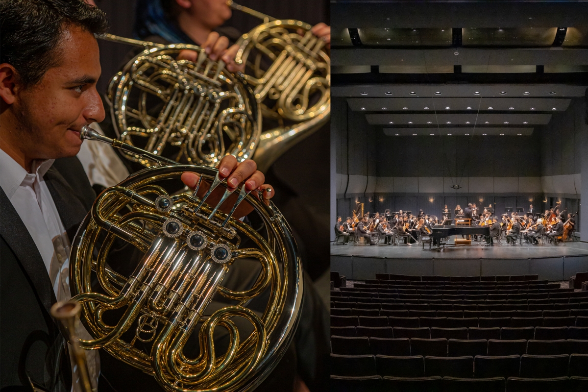 Musician playing French Horn (left), orchestra (right)