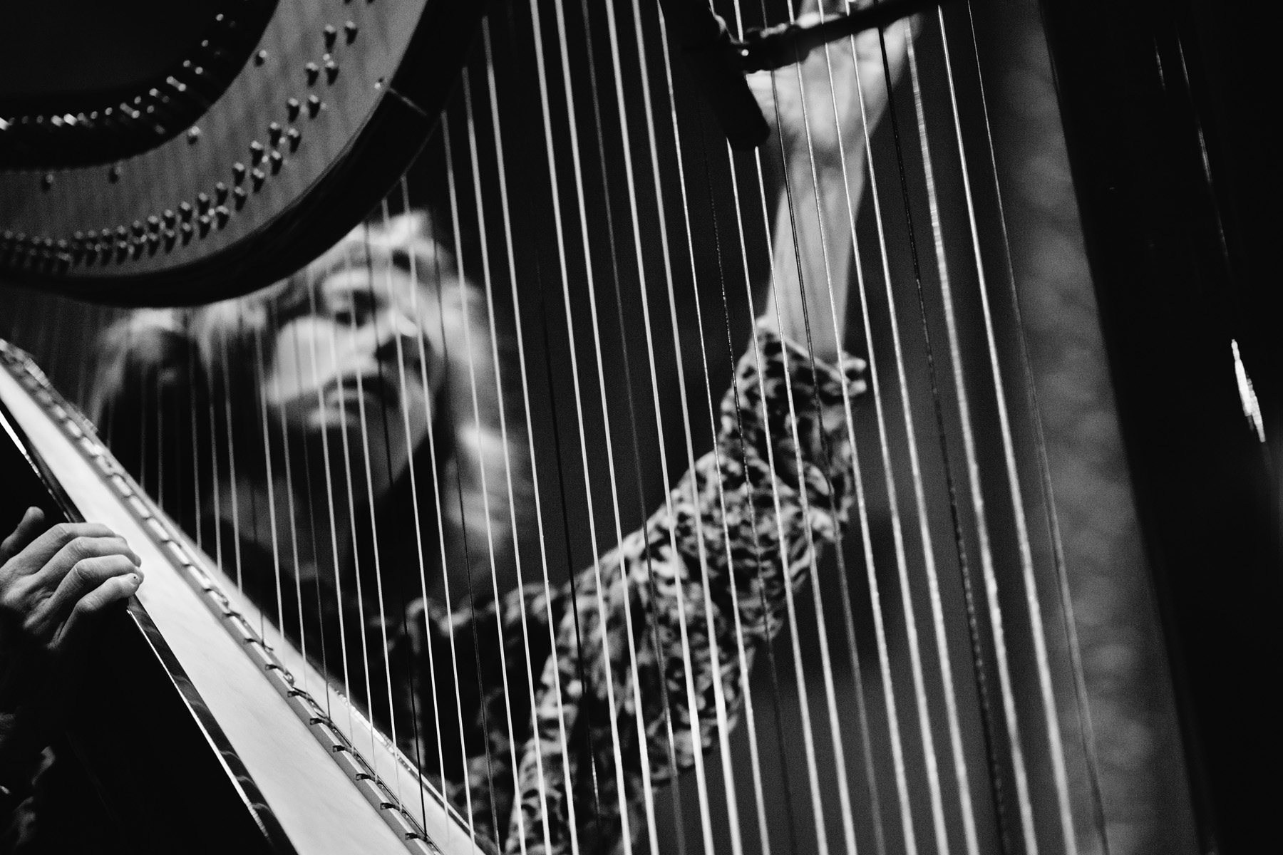 Zeena Parkins on the harp.