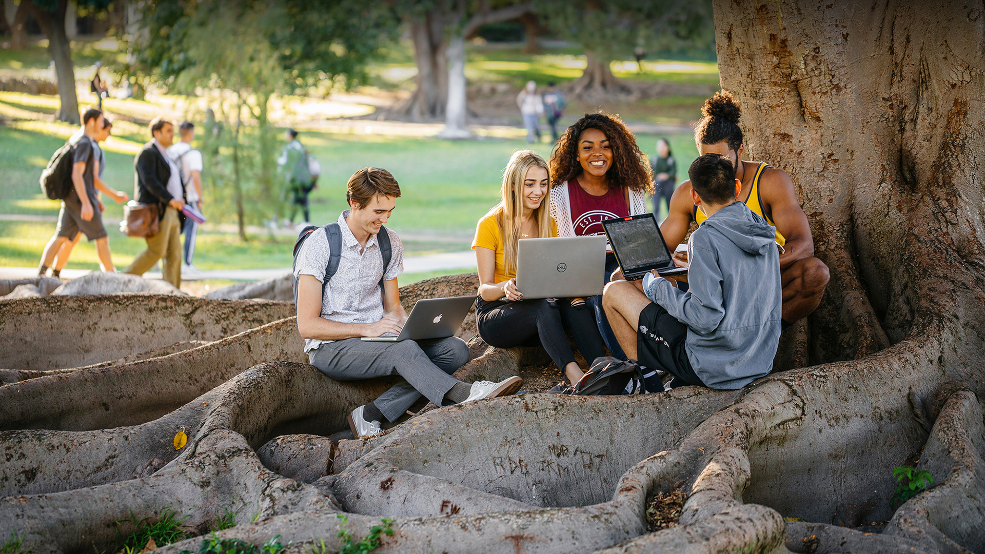 Group of students sit on large tree roots outdoors using laptops together while other students walk across a campus lawn in the background.