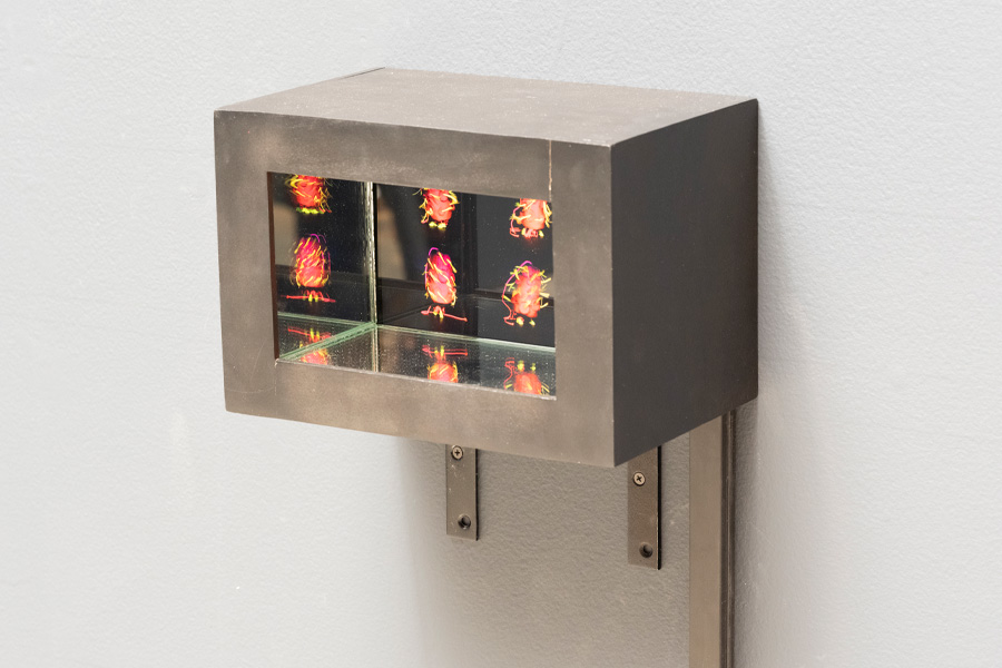 A small metal display box is mounted on a wall with two brackets. Inside the glass-fronted box, several illuminated red and orange forms appear against mirrored panels that reflect the images.