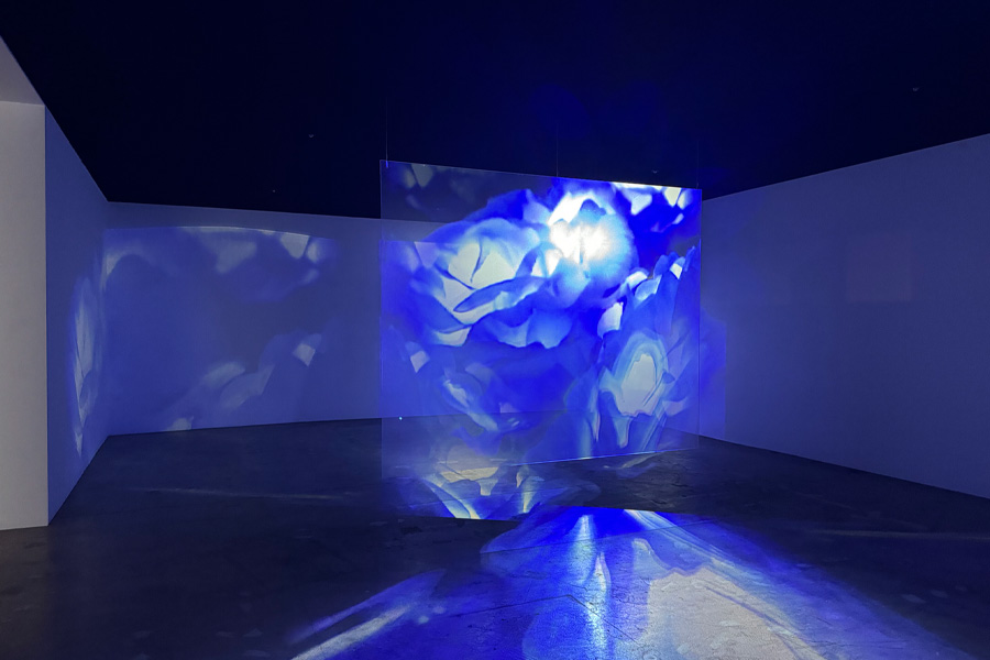 Na Mira Na Mira, Sugungga (Hello), 2024, 2-channel Hi8 and HD video, color, sound, holographic glass.