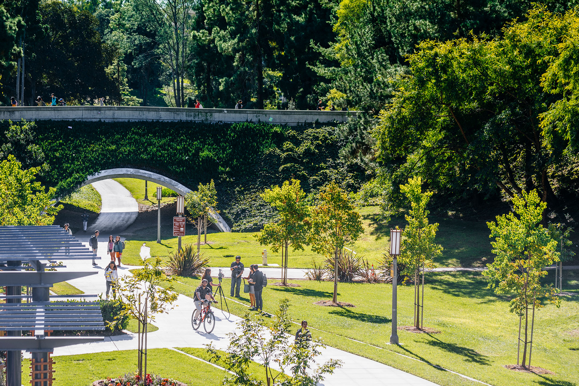 Students walk and bike along sunlit paths on the UC Irvine campus, surrounded by trees, grassy hills, and a pedestrian bridge in the background.