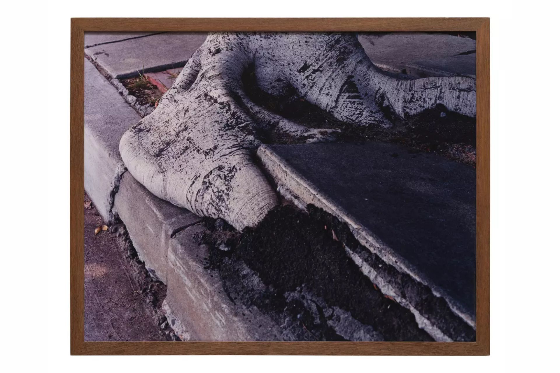 Ruben Ochoa, Overlapped in the 90063, 2007, C-print in custom wenge frame.