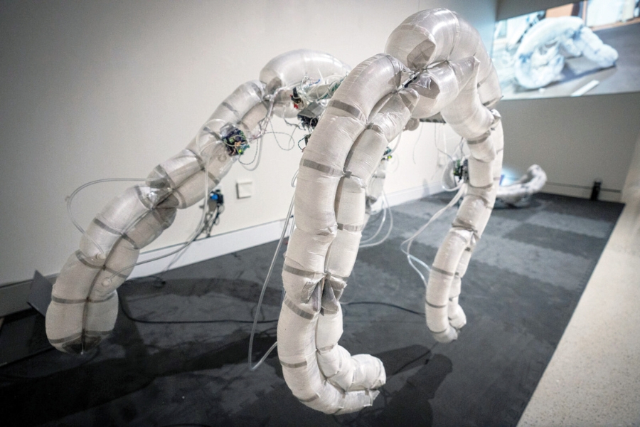Image: Chico MacMurtrie. Dual Pneuma (prototype II), 2024. High-tensile Tedlar fabric, pneumatic technology, electronics, software. © Chico MacMurtrie/ARW. Photo: Hector Bracho.