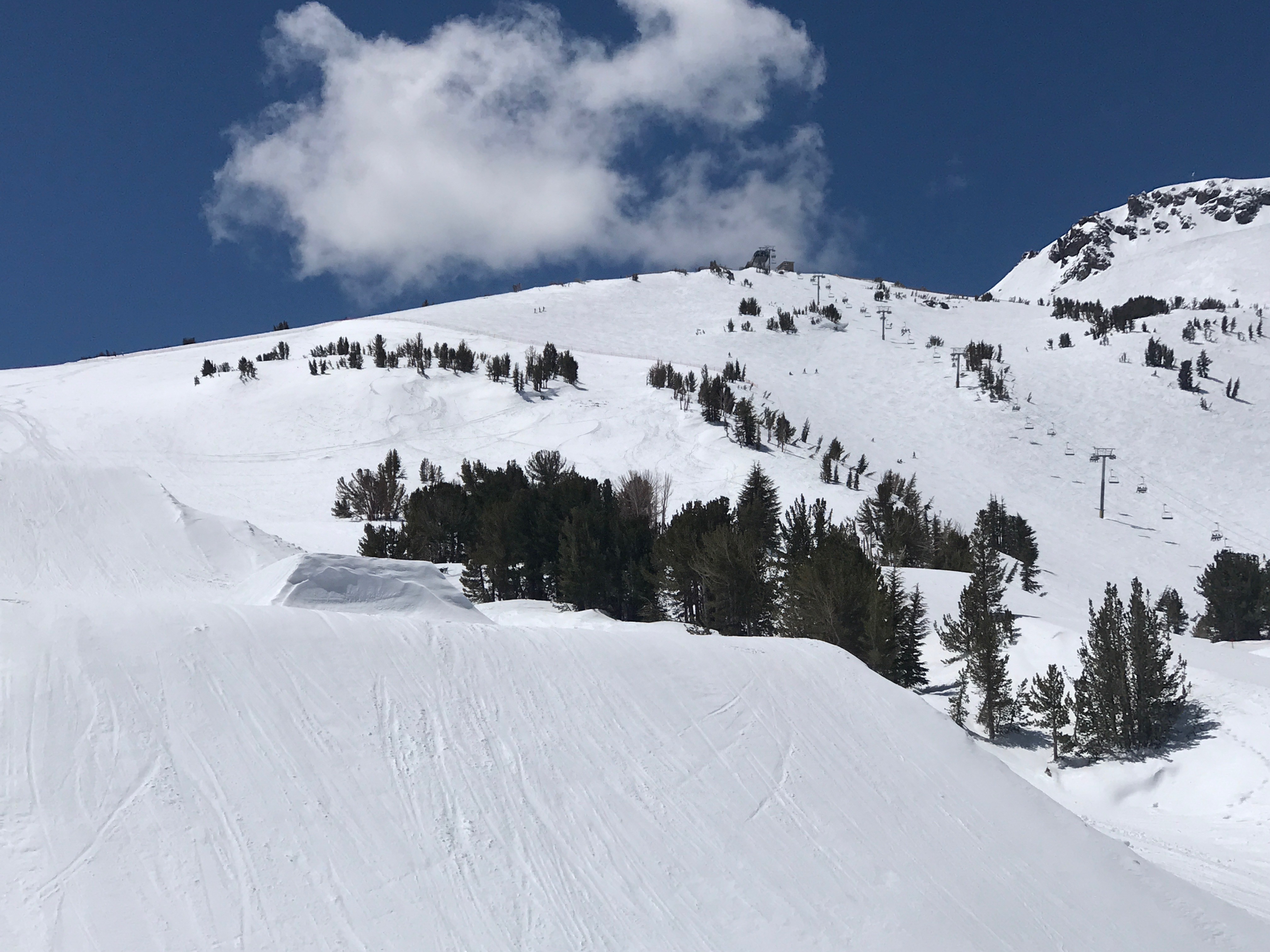 Snow-covered ski slopes at Mammoth Mountain stretch beneath a deep blue sky with large white clouds. Evergreen trees dot the mountainside, with ski lifts ascending toward the rocky summit. Photo by Kelli Sharp