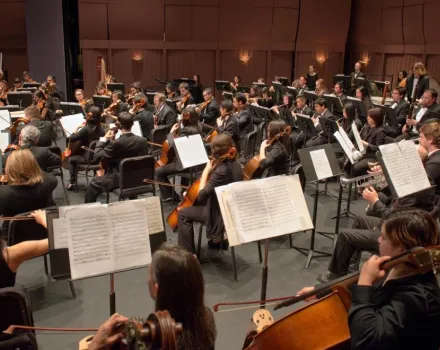 Orchestra