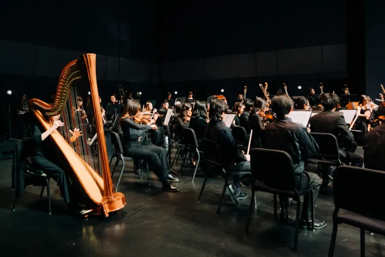 A large orchestra ensemble dressed in black performs on a darkened stage, with a harpist prominently featured in the foreground alongside string and brass musicians.