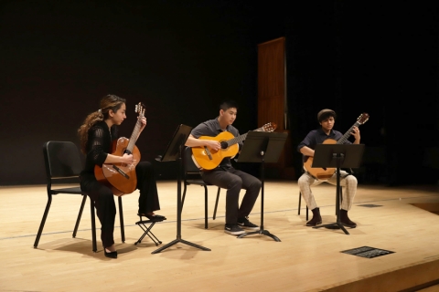 Guitarists on stage during a concert