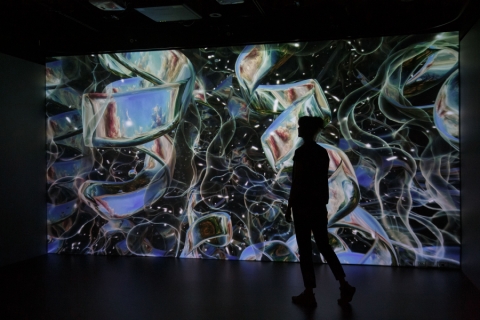 Person in front of projection