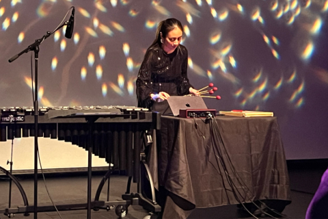 Electronic music performer with multimedia on stage
