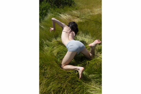 Image: Misha Davydov, Who Bent the Tall Grasses, 2023