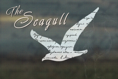 The Seagull, by Chekhov