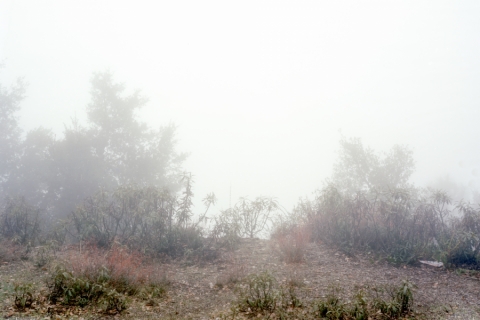 A foggy landscape