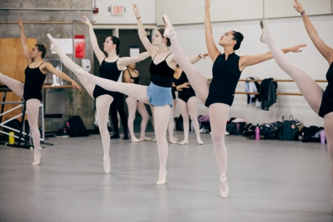 Dancers in leotards with arms and legs stretched out